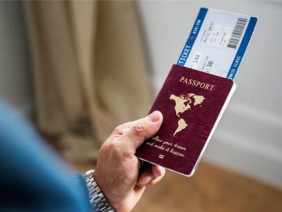 Buy a Passport Online: 6 Guides to Good Web Search Results