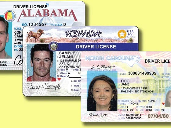 Purchase a Driver License Online: Is it Possible?